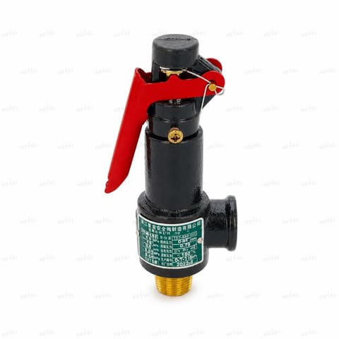A27W-16T DN15 Предохранительный клапан — 3