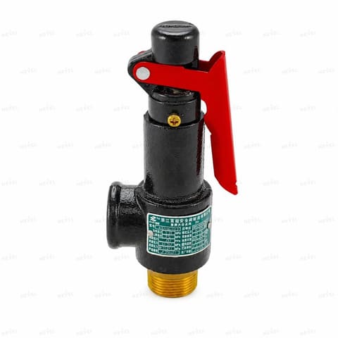 A27W-16T DN25 Предохранительный клапан — 3