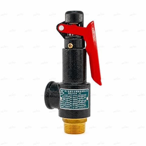 A27W-16T DN25 saqlagich klapan